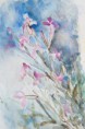 /album/ilustracia-maria-pallova-nemcekova/kvet-4-jpg/